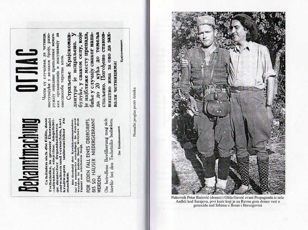 Srbi u ratnom dnevniku Vermahta - Слика 4