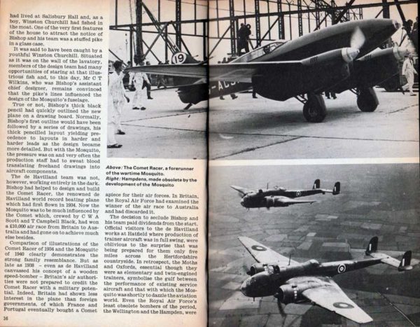 MOSQUITO - Image 3
