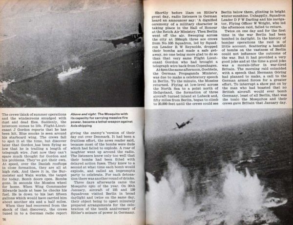 MOSQUITO - Image 4
