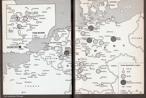MOSQUITO - Image 5