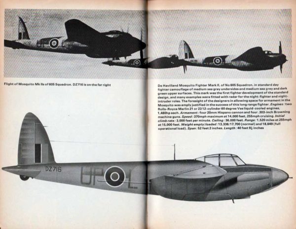 MOSQUITO - Image 6