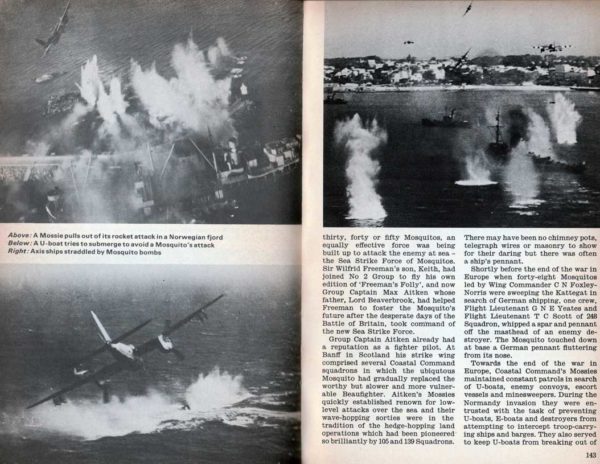 MOSQUITO - Image 7
