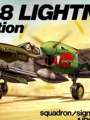 P-38 LIGHTNING in Action