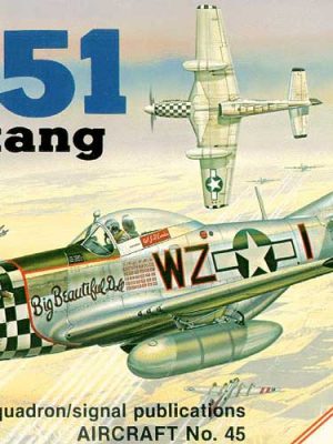 P-51 Mustang in Action