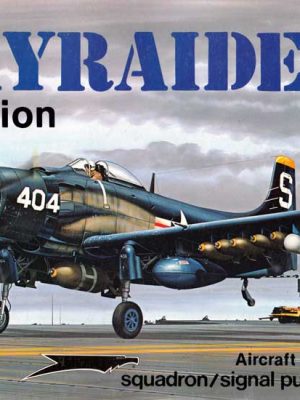 SKYRAIDER in Action