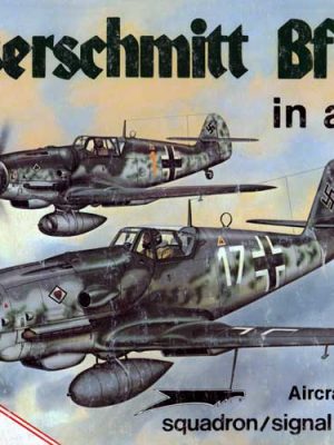 Messerschmitt Bf 109 in Action Part 2