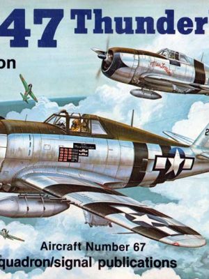P-47 Thunderbolt in Action