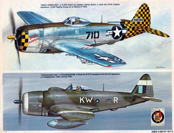 P-47 Thunderbolt in Action - Image 2