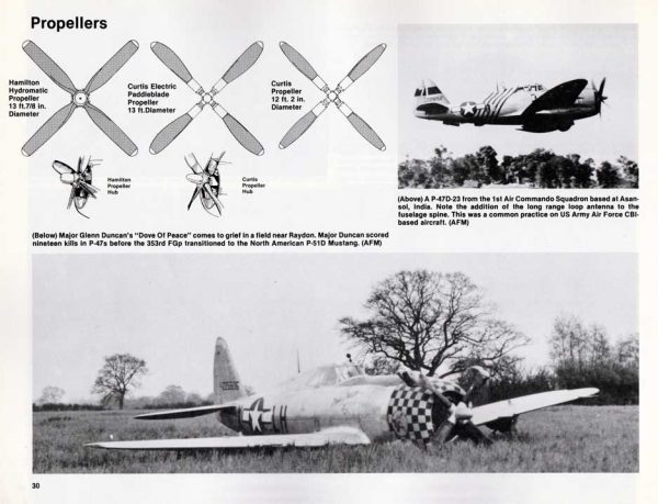 P-47 Thunderbolt in Action - Image 3