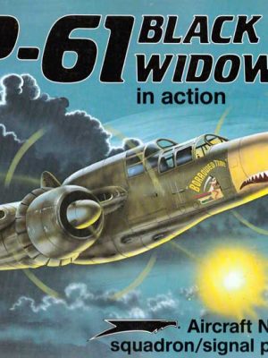 P-61 BLACK WIDOW in Action