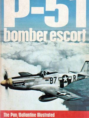 P-51 Bomber Escort