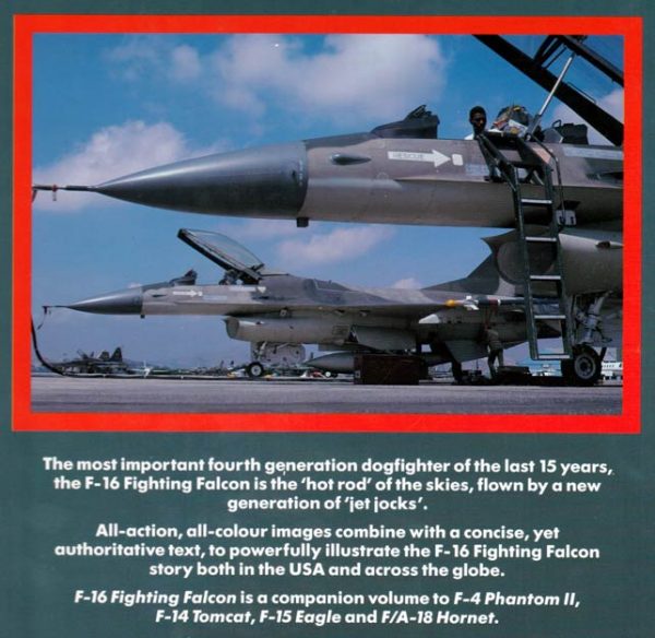 F-16 Fighting Falcon - Image 3