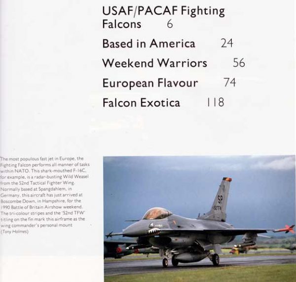 F-16 Fighting Falcon - Image 2