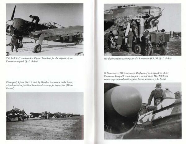 IN THE SKIES OF EUROPE : Air forces allied to the Luftwaffe 1939-1945 - Image 3