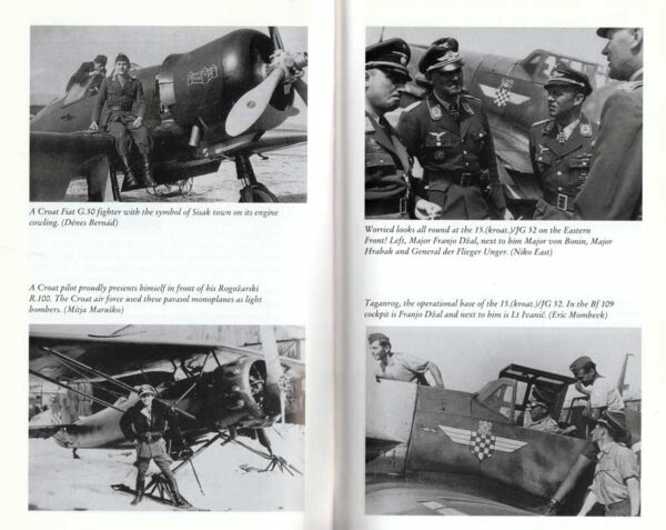 IN THE SKIES OF EUROPE : Air forces allied to the Luftwaffe 1939-1945 - Image 4