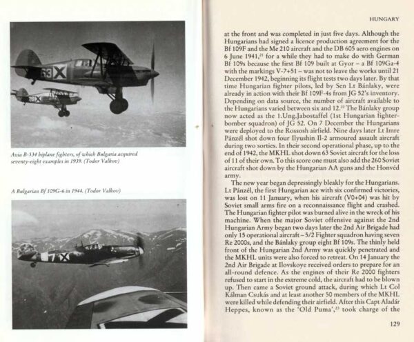 IN THE SKIES OF EUROPE : Air forces allied to the Luftwaffe 1939-1945 - Image 5