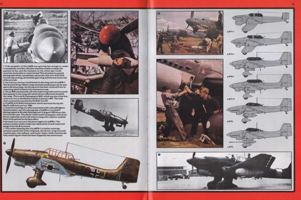 STUKA JU-87 - Image 3