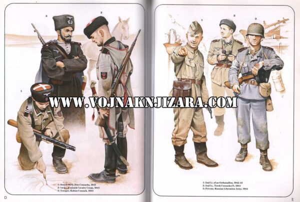 Foreign Volunteers of the Wehrmacht 1941-45 - Image 3